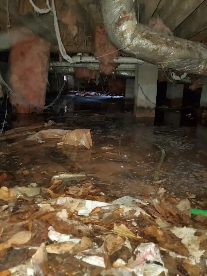 Crawl space flood assessment for Commercial Water Damage Restoration in Fort Gratiot